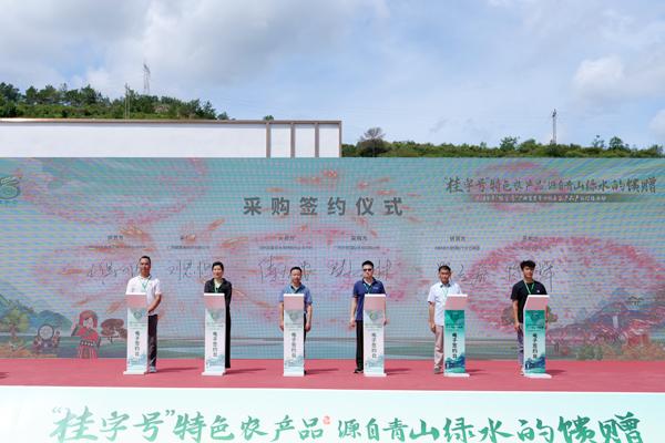 博易股票 广西百色田林举行芒果产销对接会