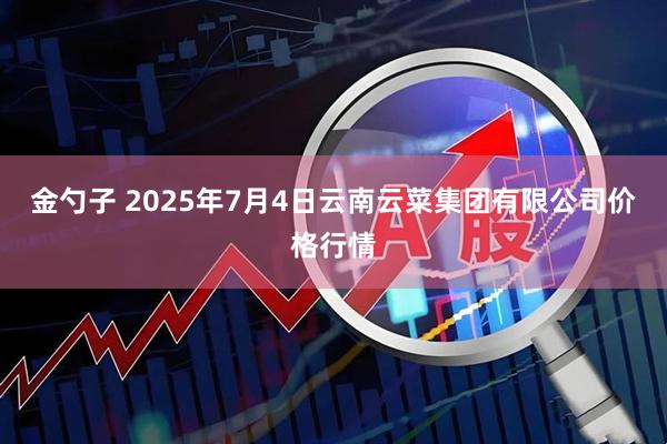 金勺子 2025年7月4日云南云菜集团有限公司价格行情