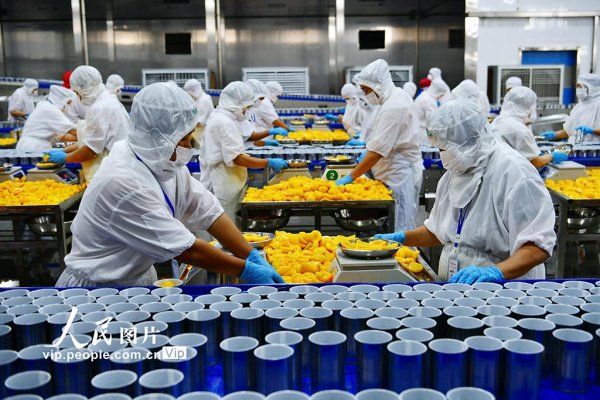 掌上乾坤 湖北秭归：黄桃深加工助农增收