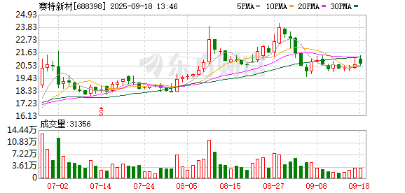 盈股网配资 赛特新材：2025年第一次临时股东大会决议公告